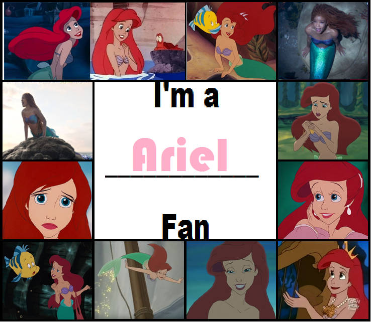 High Quality i'm a ariel fan Blank Meme Template