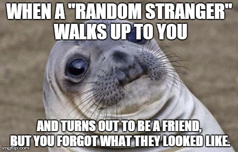Awkward Moment Sealion Meme | WHEN A "RANDOM STRANGER" WALKS UP TO YOU AND TURNS OUT TO BE A FRIEND, BUT YOU FORGOT WHAT THEY LOOKED LIKE. | image tagged in memes,awkward moment sealion | made w/ Imgflip meme maker