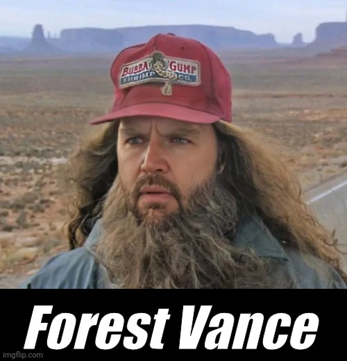 Forest Vance | Forest Vance | image tagged in forest gump,vice president,face swap | made w/ Imgflip meme maker