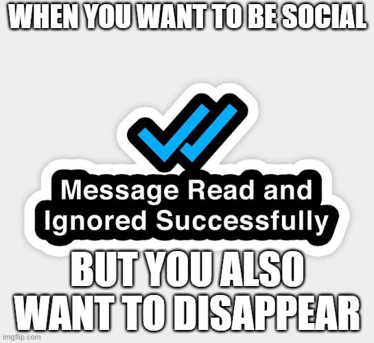 that moment! | WHEN YOU WANT TO BE SOCIAL; BUT YOU ALSO WANT TO DISAPPEAR | image tagged in memes | made w/ Imgflip meme maker