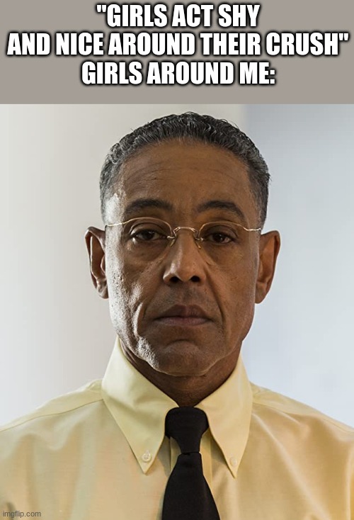 Gus Fring | "GIRLS ACT SHY AND NICE AROUND THEIR CRUSH"
GIRLS AROUND ME: | image tagged in gus fring | made w/ Imgflip meme maker