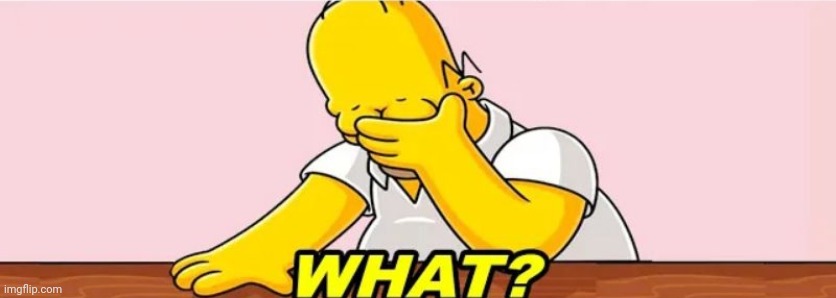 MEME TEMPLATE!!!! | image tagged in homer simpsons what | made w/ Imgflip meme maker