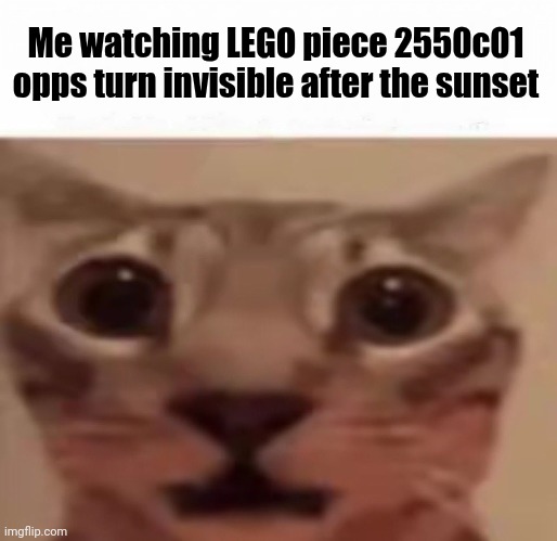 True fear | Me watching LEGO piece 2550c01 opps turn invisible after the sunset | image tagged in fun,memes,dark humor | made w/ Imgflip meme maker