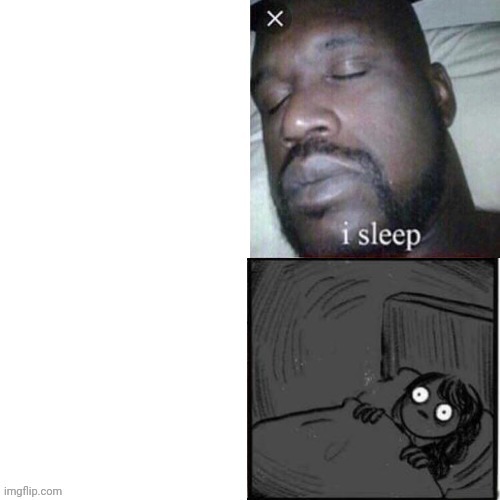 MEME TEMPLATE!!!! | image tagged in sleeping shaq with a twist | made w/ Imgflip meme maker