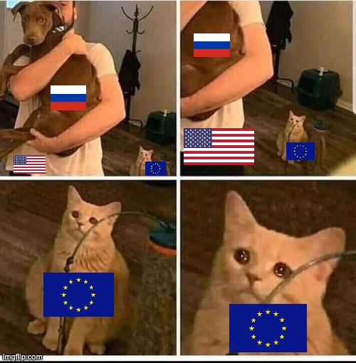 eu-us betrayal | image tagged in jealous cat,european union,usa,russia,ukraine | made w/ Imgflip meme maker
