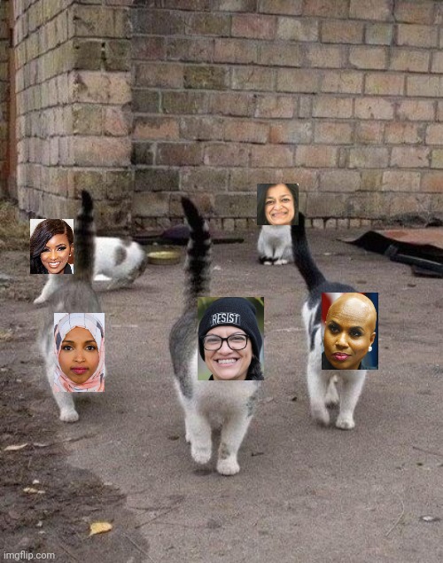 Alley Cats | image tagged in alley cats | made w/ Imgflip meme maker