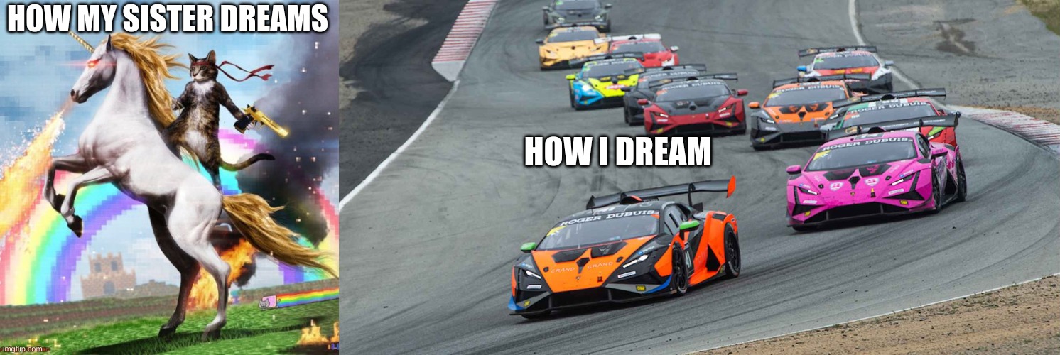 HOW MY SISTER DREAMS; HOW I DREAM | image tagged in memes,welcome to the internets | made w/ Imgflip meme maker