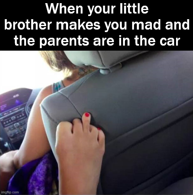 My sister did this to me all the time | When your little brother makes you mad and the parents are in the car | image tagged in car ride,brothers | made w/ Imgflip meme maker