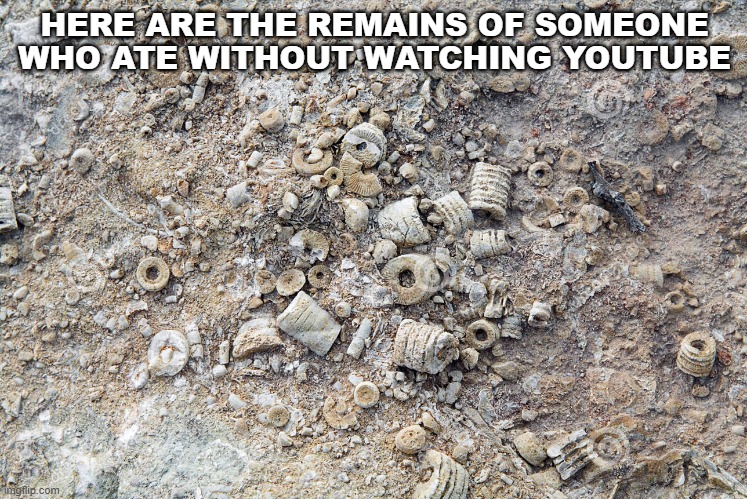 Illinois fossils | HERE ARE THE REMAINS OF SOMEONE WHO ATE WITHOUT WATCHING YOUTUBE | image tagged in illinois fossils | made w/ Imgflip meme maker