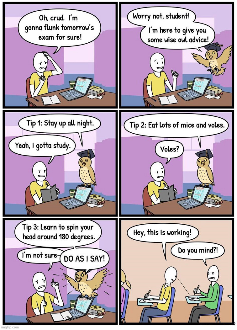 Some really great advice | image tagged in comics/cartoons | made w/ Imgflip meme maker