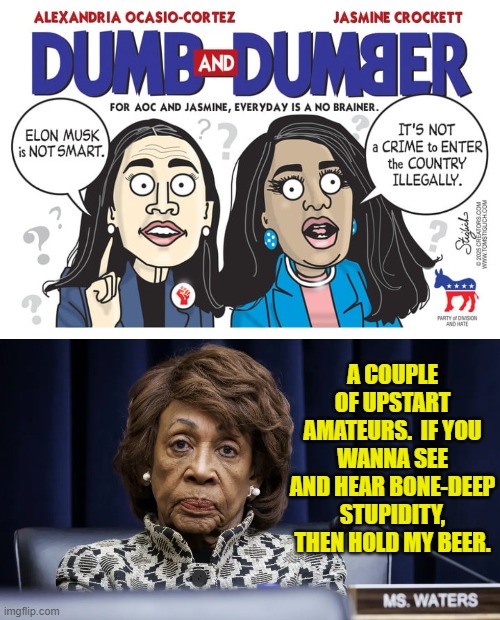 Watch out.  Here comes the old pro! | A COUPLE OF UPSTART AMATEURS.  IF YOU WANNA SEE AND HEAR BONE-DEEP STUPIDITY, THEN HOLD MY BEER. | image tagged in yep | made w/ Imgflip meme maker