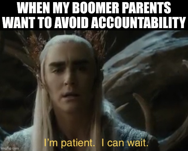Waiting on Boomers | WHEN MY BOOMER PARENTS WANT TO AVOID ACCOUNTABILITY | image tagged in i m patient i can wait,bad parents,patience,karma | made w/ Imgflip meme maker