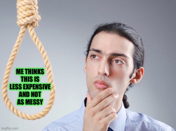 noose | ME THINKS
THIS IS
LESS EXPENSIVE
AND NOT
AS MESSY | image tagged in noose | made w/ Imgflip meme maker