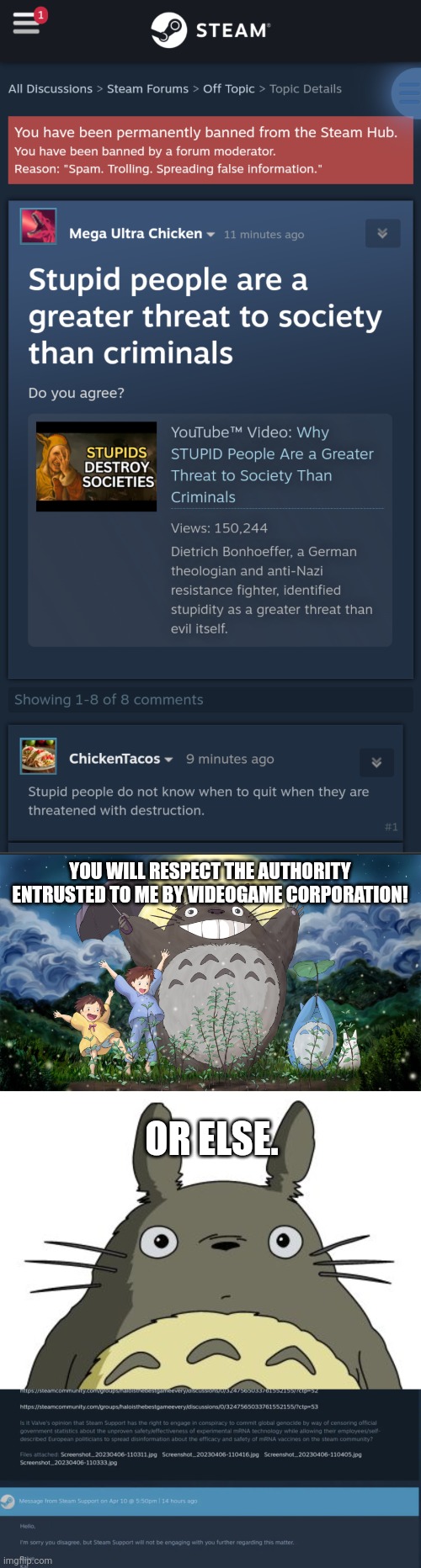 YOU WILL RESPECT THE AUTHORITY ENTRUSTED TO ME BY VIDEOGAME CORPORATION! OR ELSE. | image tagged in totoro | made w/ Imgflip meme maker