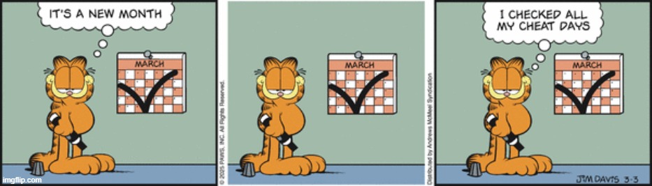 Garfield | image tagged in comics | made w/ Imgflip meme maker