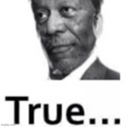 true | image tagged in true | made w/ Imgflip meme maker