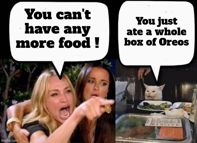 Don't eat the Cat | You can't have any more food ! You just ate a whole box of Oreos | image tagged in don't eat the cat | made w/ Imgflip meme maker