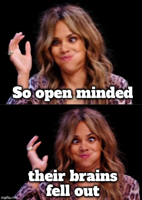 Lovely Halle Berry | So open minded their brains
fell out | image tagged in lovely halle berry | made w/ Imgflip meme maker