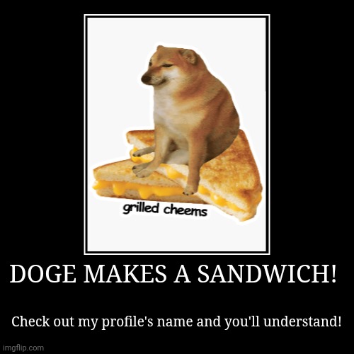 DOGE MAKES A SANDWICH! | Check out my profile's name and you'll understand! | image tagged in funny,demotivationals | made w/ Imgflip demotivational maker