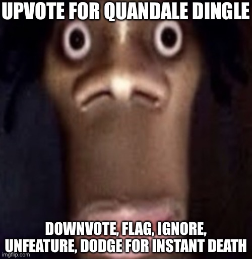 Quandale dingle | UPVOTE FOR QUANDALE DINGLE; DOWNVOTE, FLAG, IGNORE, UNFEATURE, DODGE FOR INSTANT DEATH | image tagged in quandale dingle | made w/ Imgflip meme maker