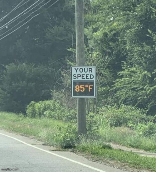 What is this | image tagged in msmg,memes | made w/ Imgflip meme maker