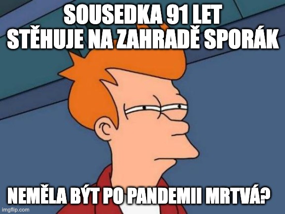 Futurama Fry Meme | SOUSEDKA 91 LET STĚHUJE NA ZAHRADĚ SPORÁK; NEMĚLA BÝT PO PANDEMII MRTVÁ? | image tagged in memes,futurama fry | made w/ Imgflip meme maker