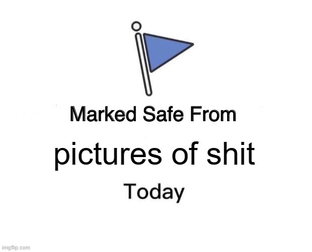 Marked Safe From | pictures of shit | image tagged in memes,marked safe from | made w/ Imgflip meme maker