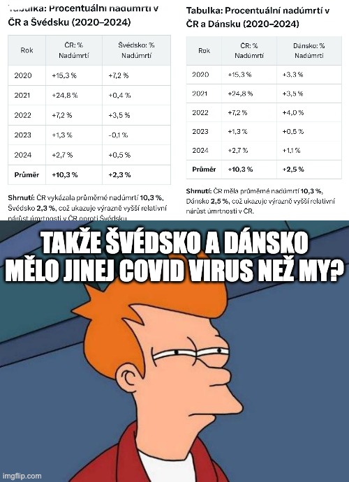 TAKŽE ŠVÉDSKO A DÁNSKO MĚLO JINEJ COVID VIRUS NEŽ MY? | image tagged in skeptical fry | made w/ Imgflip meme maker
