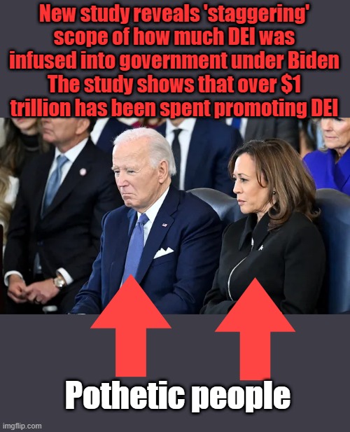 Thats guilty faces folks. Or constipation.. | New study reveals 'staggering' scope of how much DEI was infused into government under Biden
The study shows that over $1 trillion has been spent promoting DEI; Pothetic people | made w/ Imgflip meme maker
