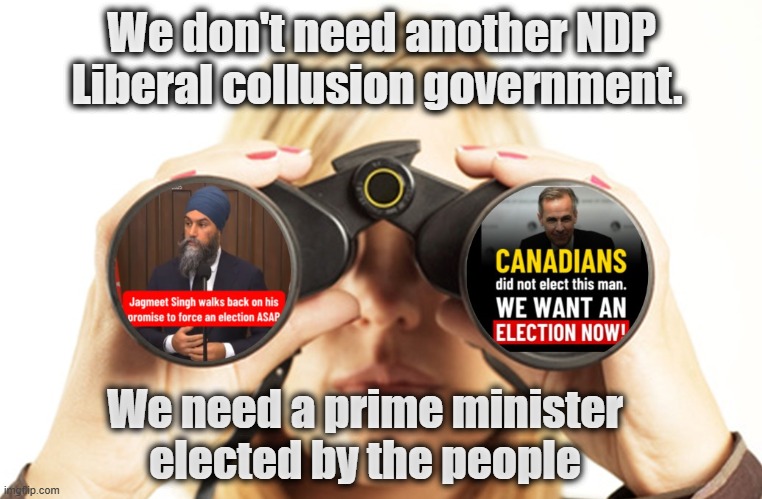 We don't need another NDP Liberal collusion government. We need a prime minister elected by the people | made w/ Imgflip meme maker