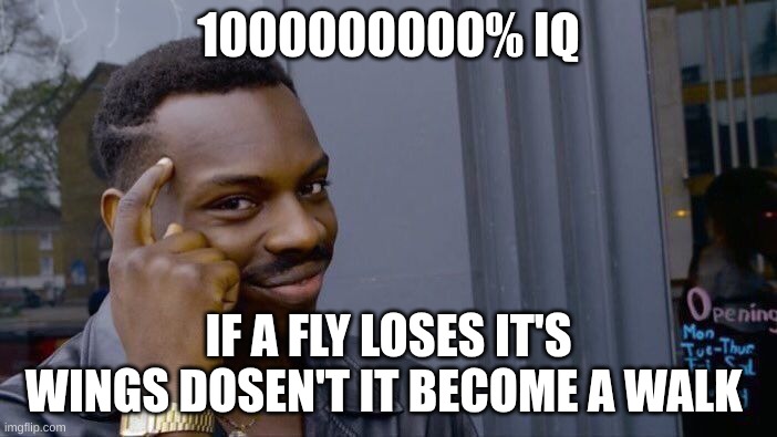 Roll Safe Think About It Meme | 1000000000% IQ; IF A FLY LOSES IT'S WINGS DOSEN'T IT BECOME A WALK | image tagged in memes,roll safe think about it | made w/ Imgflip meme maker