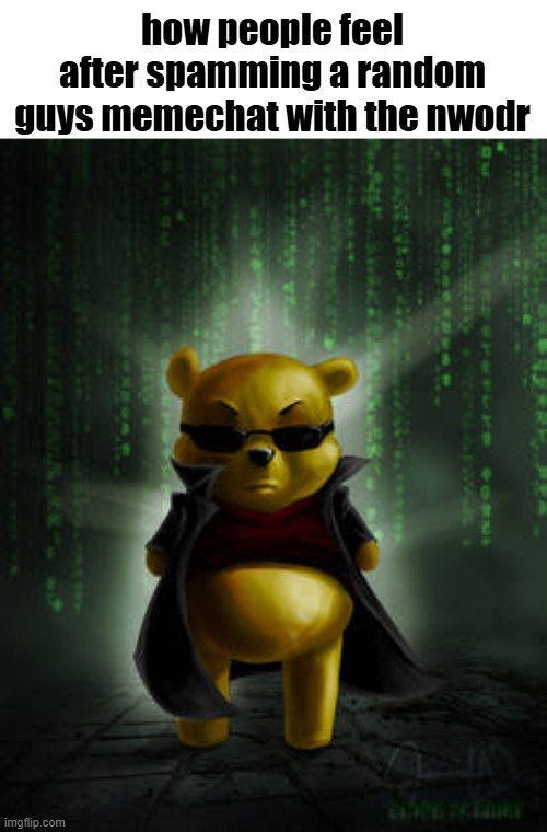 The Matrix Winnie the Pooh | how people feel after spamming a random guys memechat with the nwodr | image tagged in the matrix winnie the pooh | made w/ Imgflip meme maker