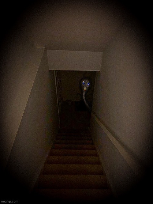 i told him to never leave his cage. | made w/ Imgflip meme maker