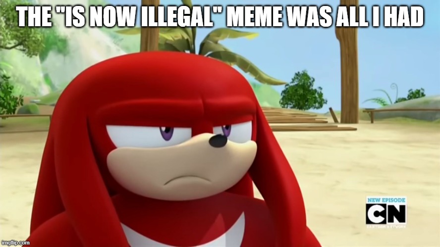 Knuckles is not Impressed - Sonic Boom | THE "IS NOW ILLEGAL" MEME WAS ALL I HAD | image tagged in knuckles is not impressed - sonic boom | made w/ Imgflip meme maker