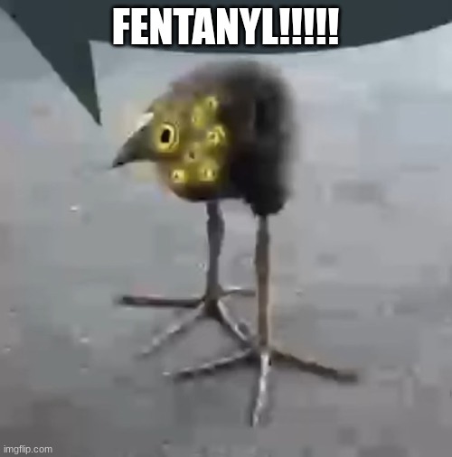 Lobotomy Corporation Bird | FENTANYL!!!!! | image tagged in lobotomy corporation bird | made w/ Imgflip meme maker