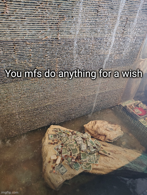 better hope it became true | You mfs do anything for a wish | image tagged in funny,wish,money,fountain | made w/ Imgflip meme maker