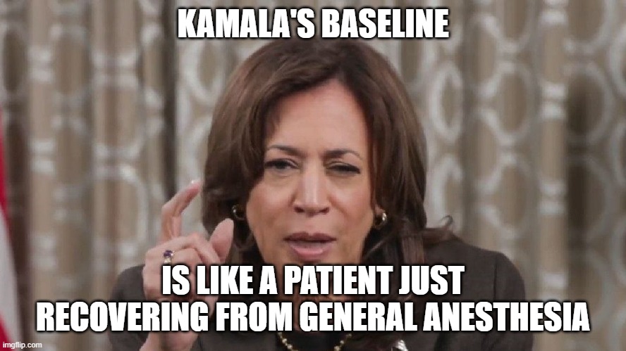 Drunk Kamala Wisdom | KAMALA'S BASELINE IS LIKE A PATIENT JUST RECOVERING FROM GENERAL ANESTHESIA | image tagged in drunk kamala wisdom | made w/ Imgflip meme maker