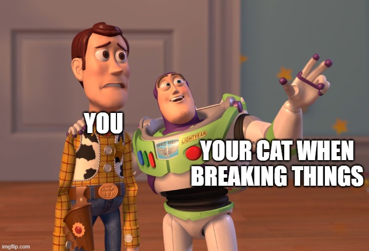 X, X Everywhere | YOU; YOUR CAT WHEN BREAKING THINGS | image tagged in memes,x x everywhere,cats | made w/ Imgflip meme maker