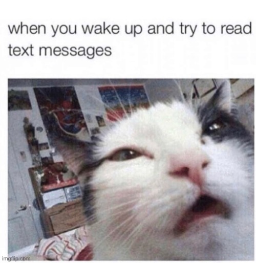 still don't know wut to type | image tagged in texting,memes,cat | made w/ Imgflip meme maker