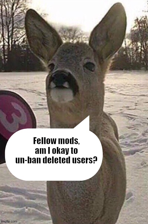 deer yap session | Fellow mods, am I okay to un-ban deleted users? | image tagged in deer yap session | made w/ Imgflip meme maker