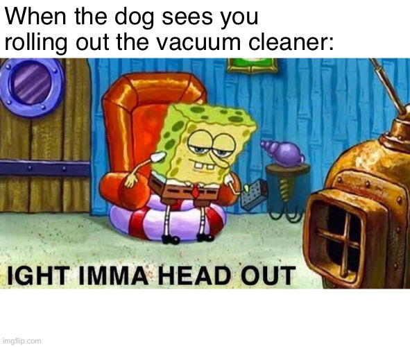 House cleaning | When the dog sees you rolling out the vacuum cleaner: | image tagged in aight ima head out | made w/ Imgflip meme maker
