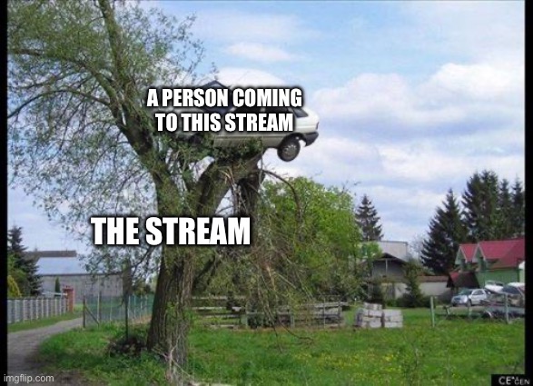 car in tree | A PERSON COMING TO THIS STREAM; THE STREAM | image tagged in car in tree | made w/ Imgflip meme maker