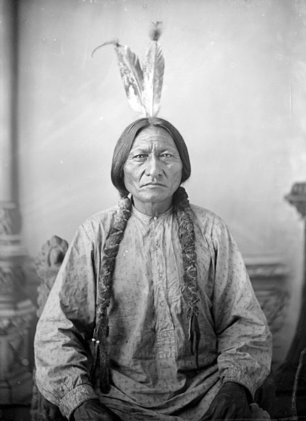 High Quality Sitting Bull Blank Meme Template