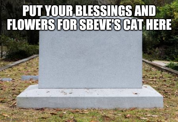 Gone but never forgotten | PUT YOUR BLESSINGS AND FLOWERS FOR SBEVE'S CAT HERE | made w/ Imgflip meme maker