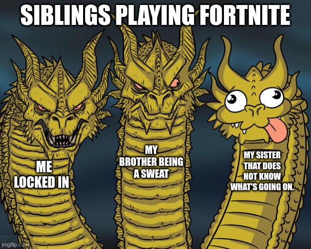 fortnite pro's | SIBLINGS PLAYING FORTNITE; MY BROTHER BEING A SWEAT; MY SISTER THAT DOES NOT KNOW WHAT'S GOING ON. ME LOCKED IN | image tagged in three-headed dragon | made w/ Imgflip meme maker