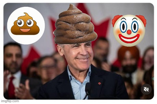 Mark Carney Canadian PM Blank Meme Template
