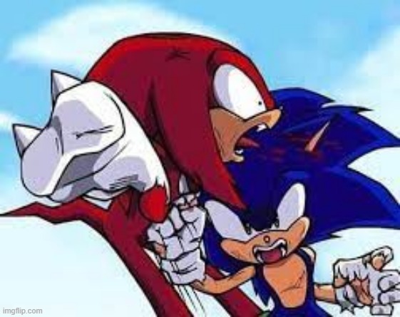 Sonic punches Knuckles | image tagged in sonic punches knuckles | made w/ Imgflip meme maker