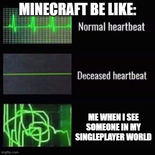 heartbeat rate | MINECRAFT BE LIKE:; ME WHEN I SEE SOMEONE IN MY SINGLEPLAYER WORLD | image tagged in heartbeat rate | made w/ Imgflip meme maker