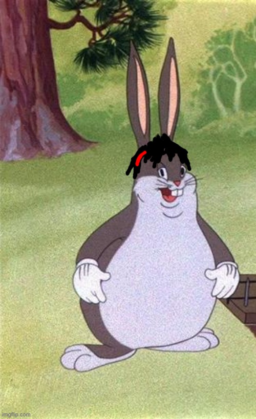 image tagged in big chungus | made w/ Imgflip meme maker