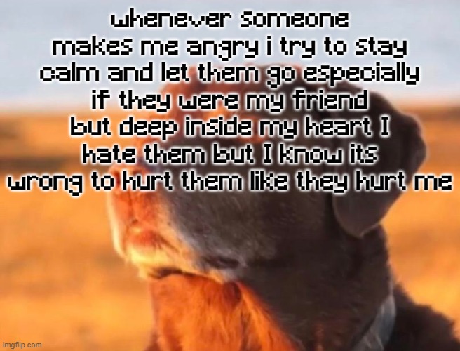 Dog accepting fate | whenever someone makes me angry i try to stay calm and let them go especially if they were my friend
but deep inside my heart I hate them but I know its wrong to hurt them like they hurt me | image tagged in dog accepting fate | made w/ Imgflip meme maker